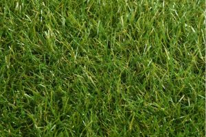 artificial grass