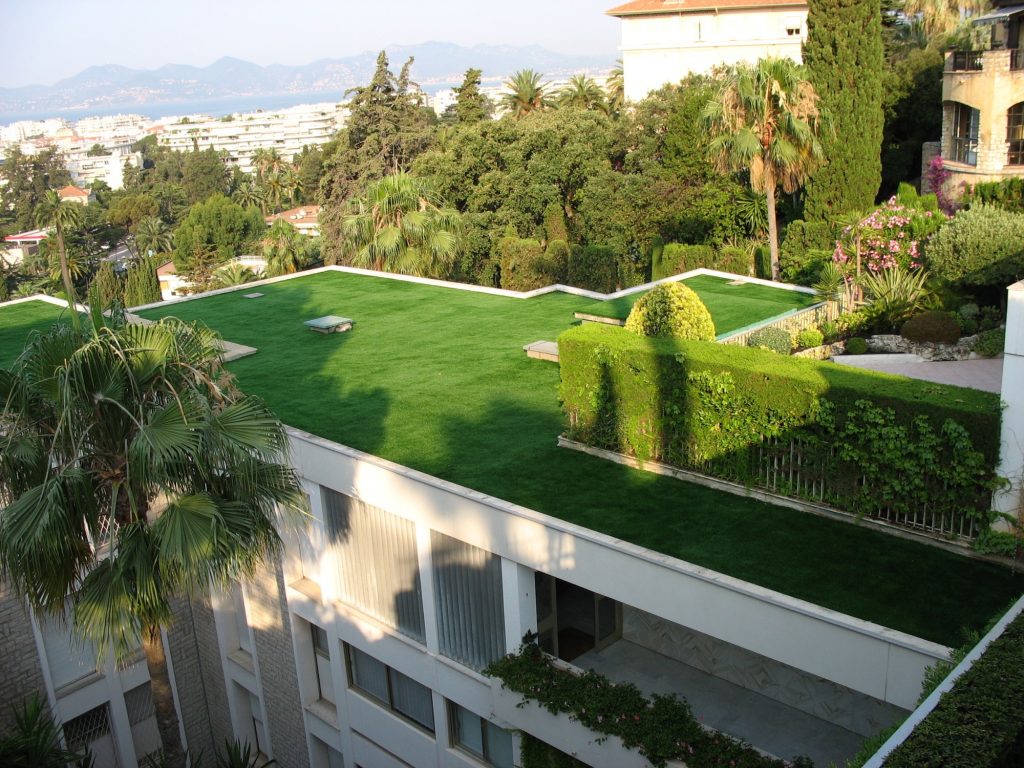 artificial grass landscaping | INTEGRAL® Turf