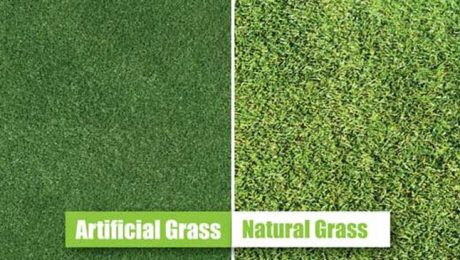 How should natural grass be watered? Differences Between Natural Grass and Artificial Grass